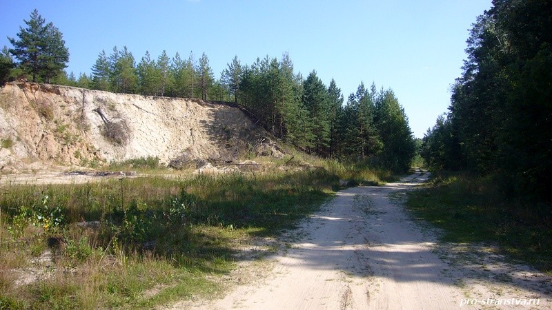 Лесная дорога