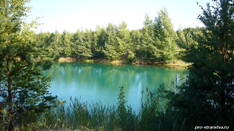 Лес и вода в Подмосковье