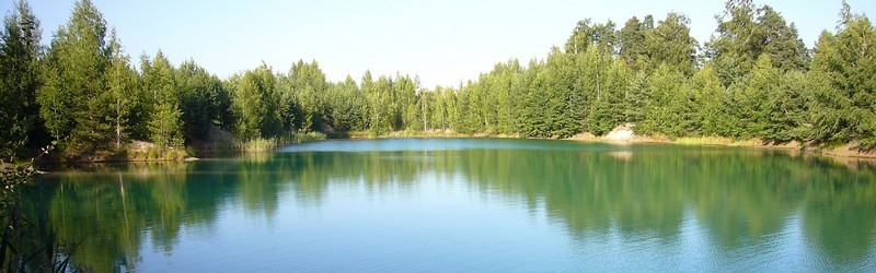Лес на берегу