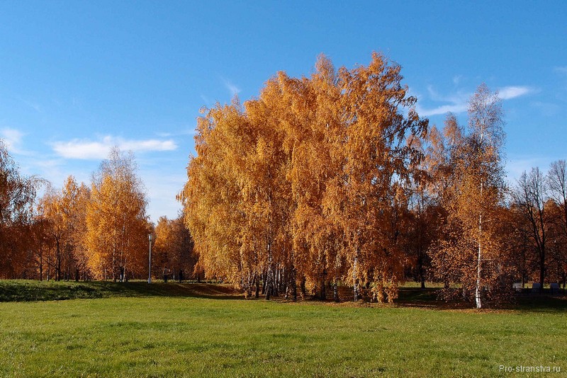 Осенний пейзаж