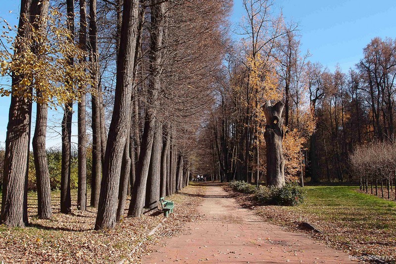 Липовая аллея