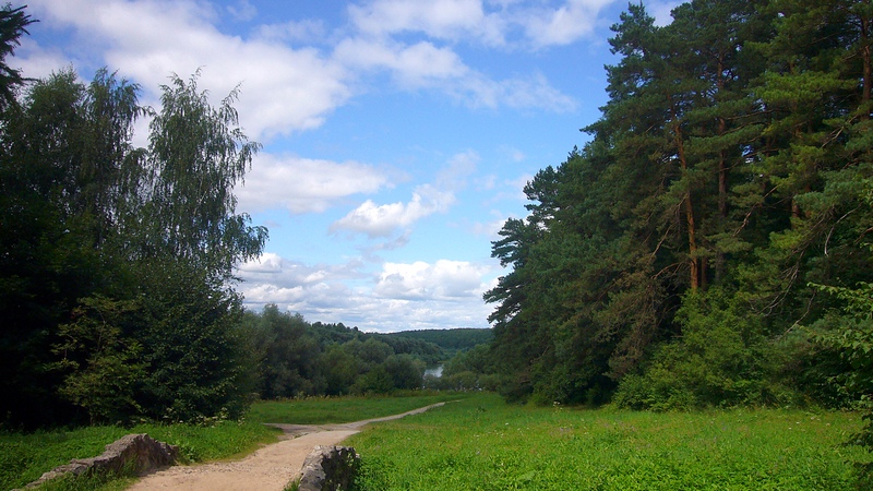 Дорожка к реке