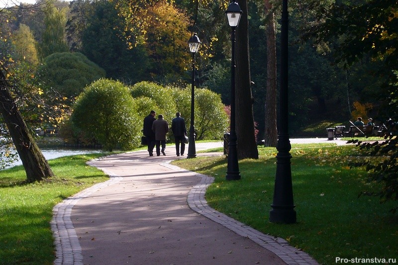 Парковая дорожка