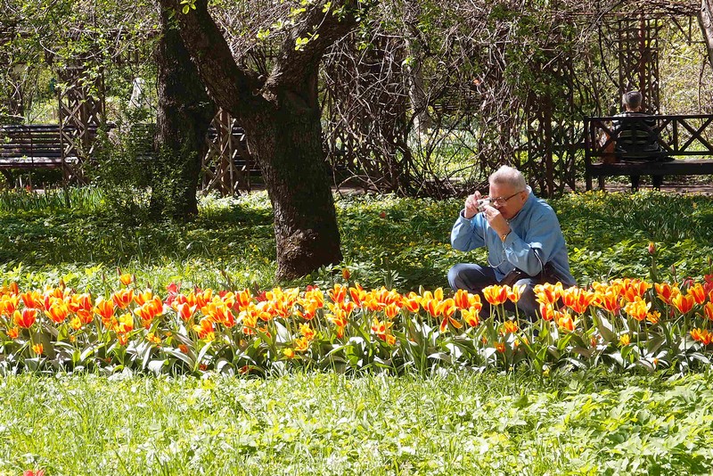 Фотографирует цветы