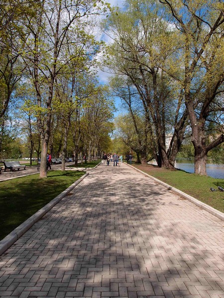 Парк у Новодевичьего пруда