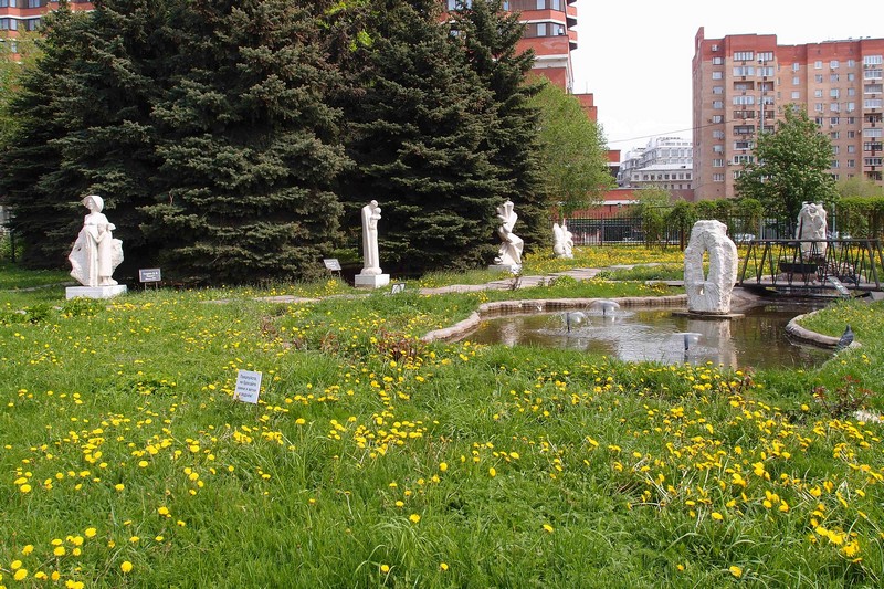 Зеленая лужайка