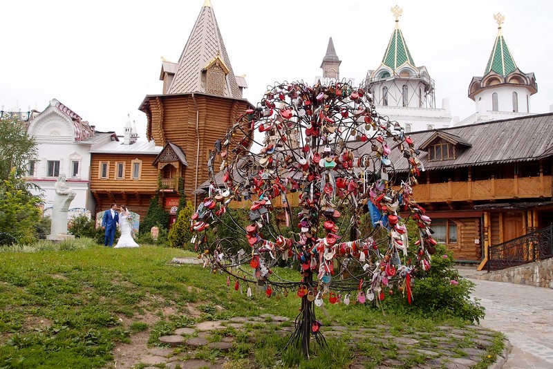 Дерево с замками