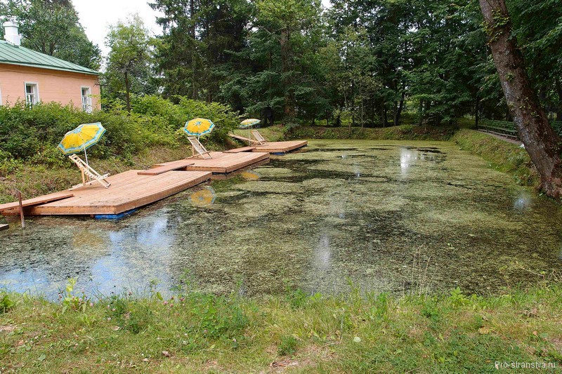 Пруд Аквариум