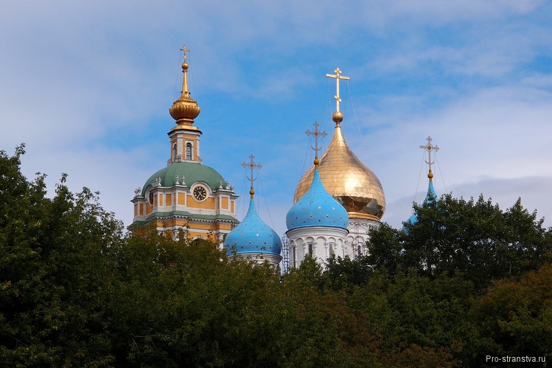 Вид со стороны Новоспасского пруда