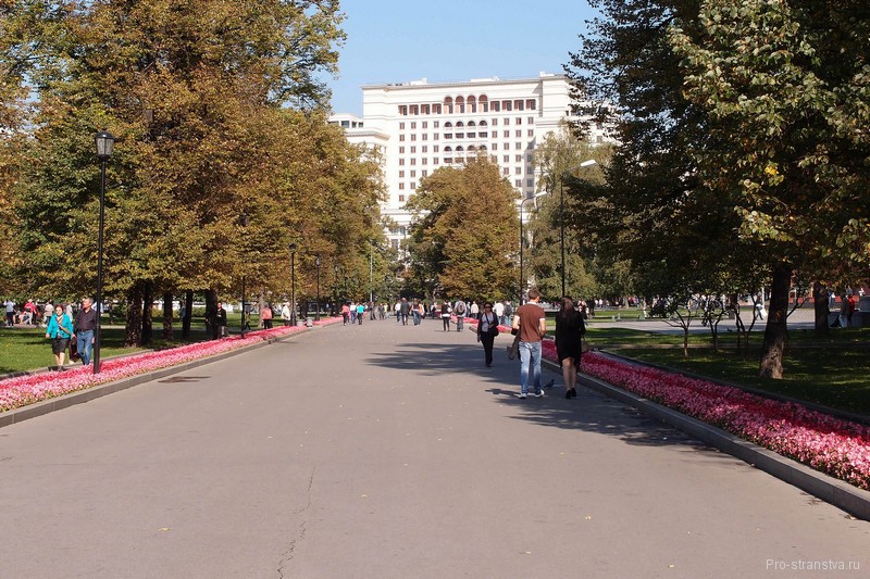 Центральная аллея в парке