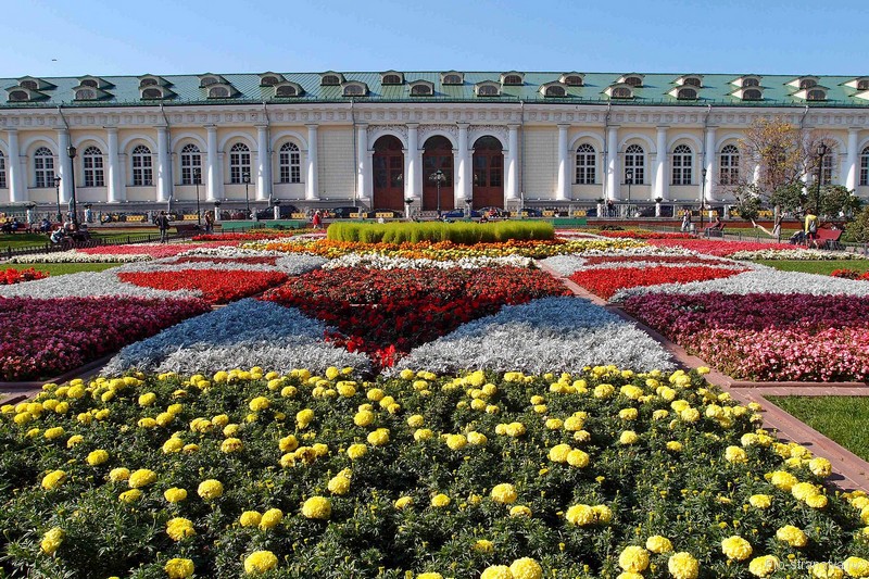 Центральная клумба