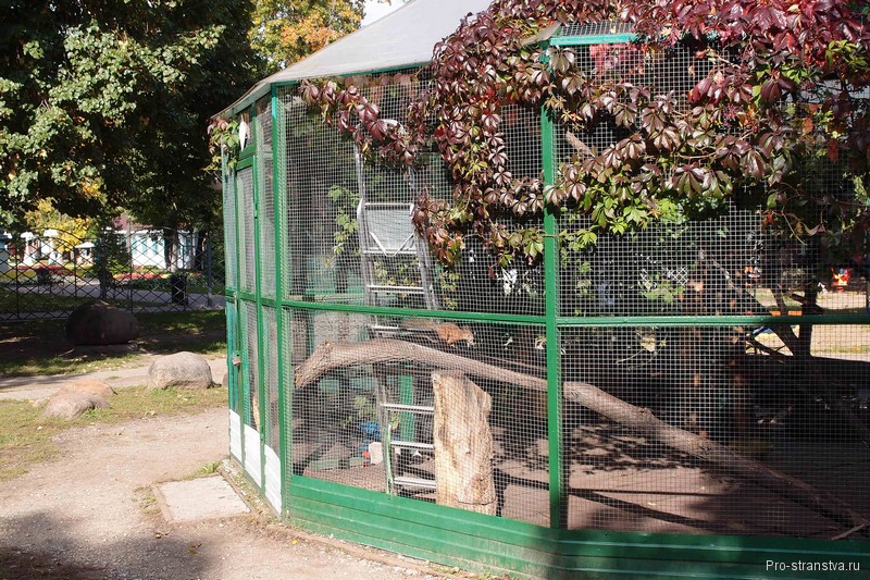 Бельчатник