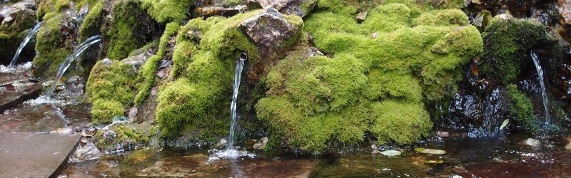 Текущая вода