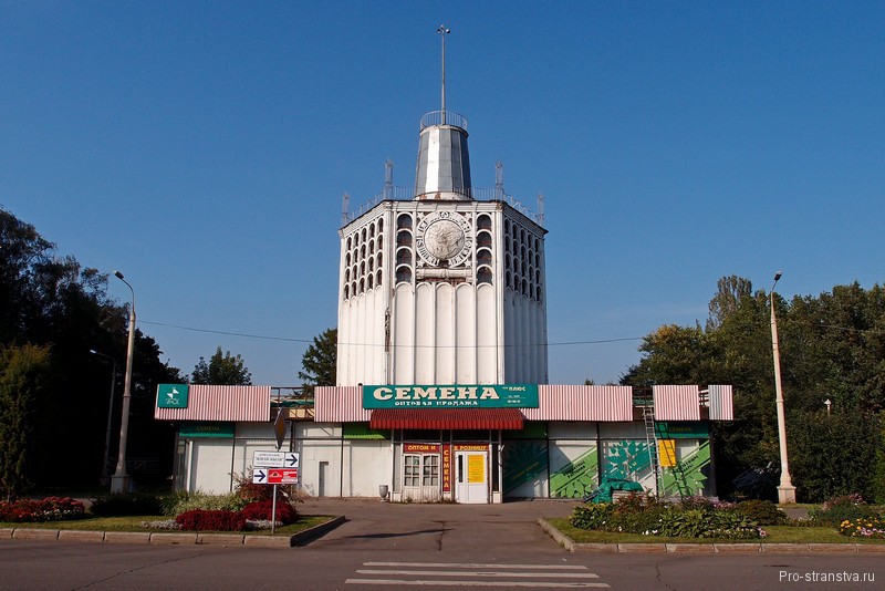 Здесь продают семена
