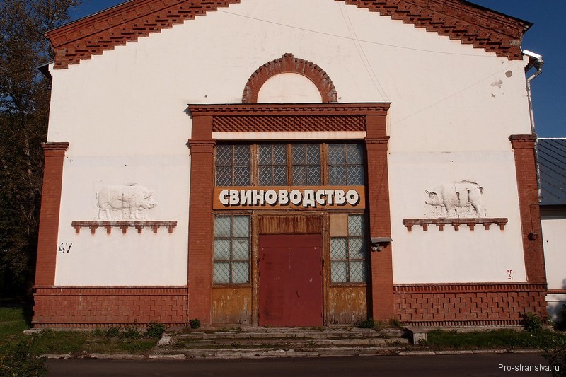 Разрушающееся Свиноводство