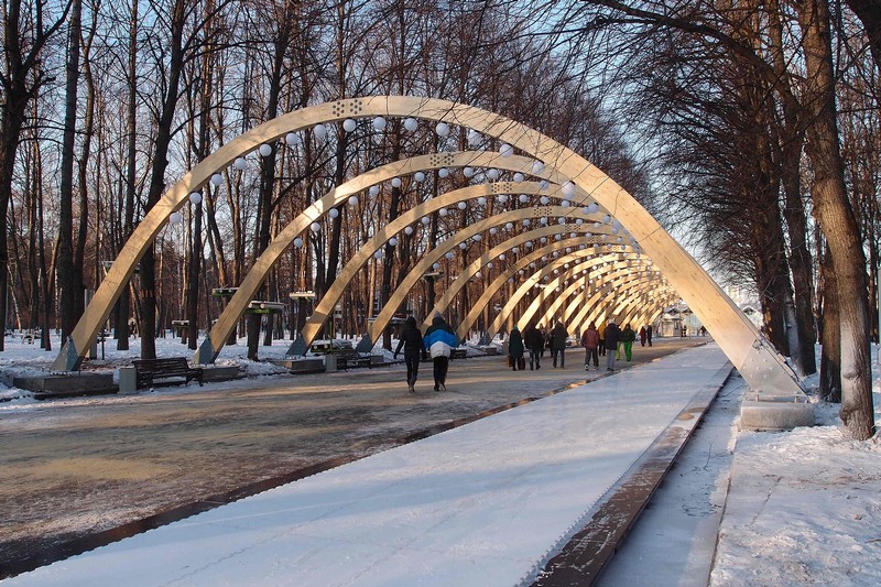 Деревянная арка