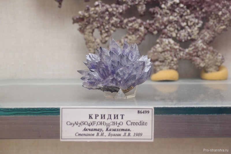 Сиреневый кридит