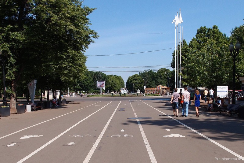 Аллея в парке Сокольники