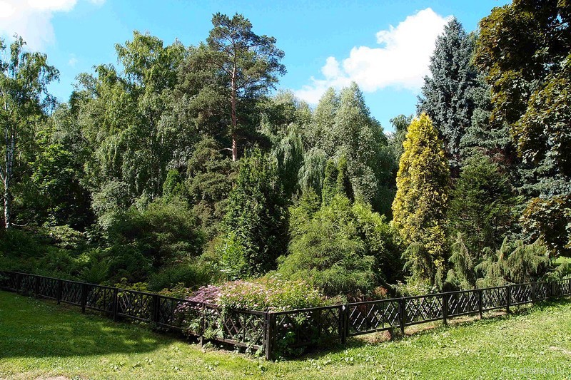 Красивая декоративная композиция