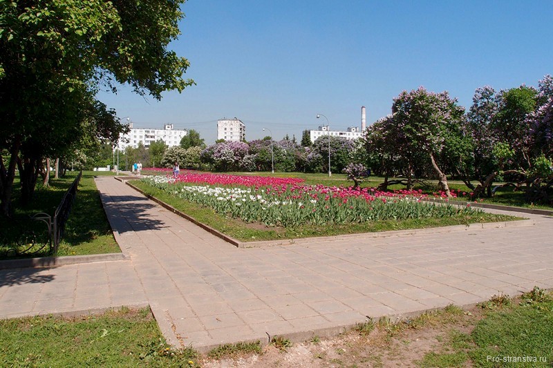Центральная аллея