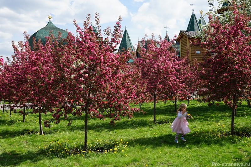 Красота у дворца