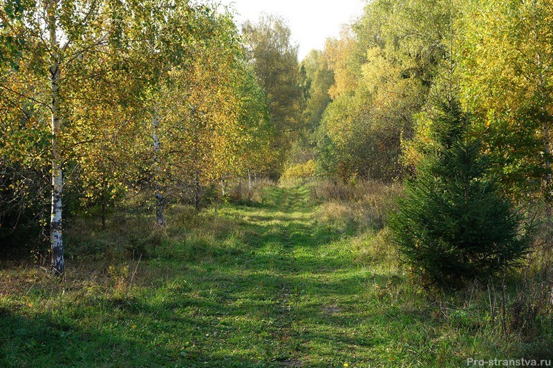 Въездная аллея