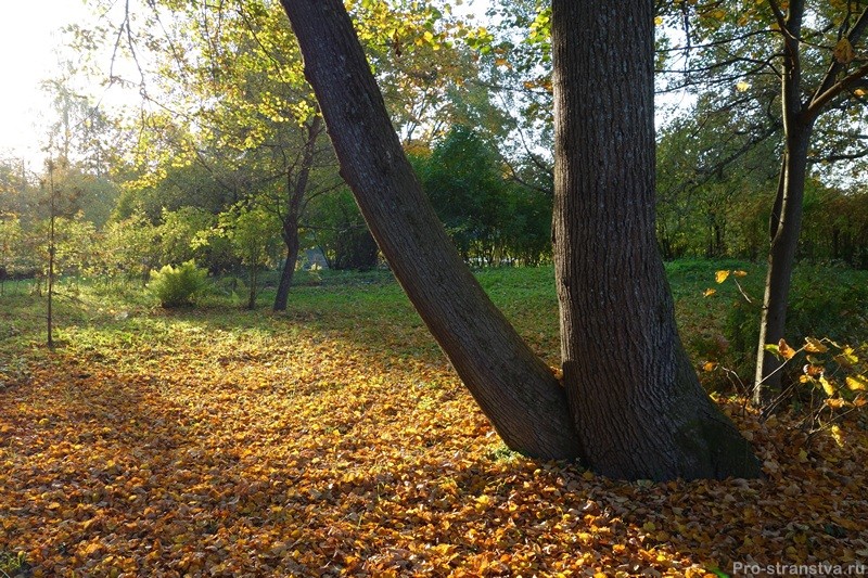 Осенины