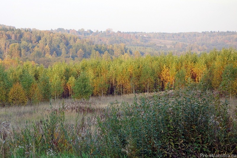 Среднерусская даль