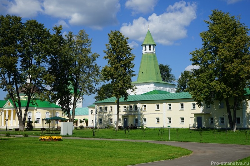 Дорожки, деревья, газоны