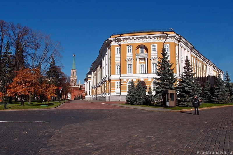 Сенат