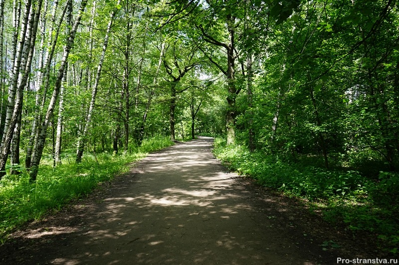 Дорожка в южной части