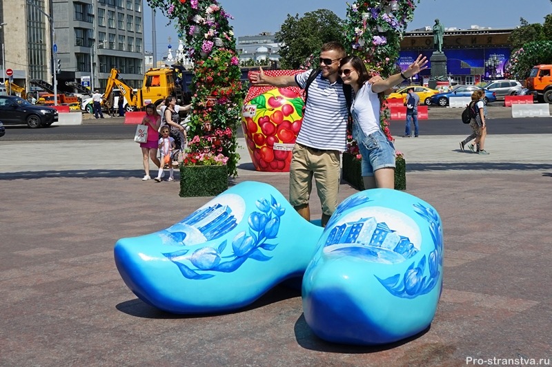 Деревянные башмаки