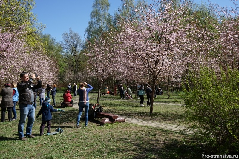 Весна в парке