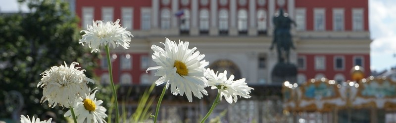 Цветы в День рождения